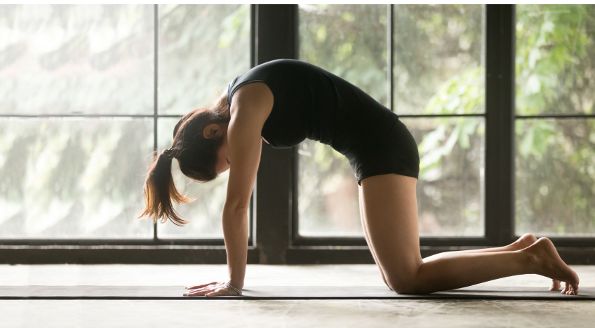 Janushirsasana, posture de la tête aux genoux : purifier Ida et Pingala  et/ou soulager les douleurs de dos par le yoga.. - Articles sur le Hatha  yoga et les formations proposées.