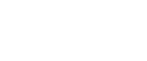 LudiPilates logo